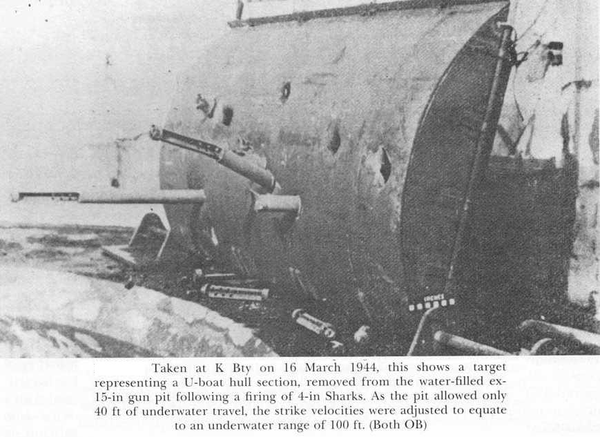WAMBR_ASW_Shark_pic.jpg