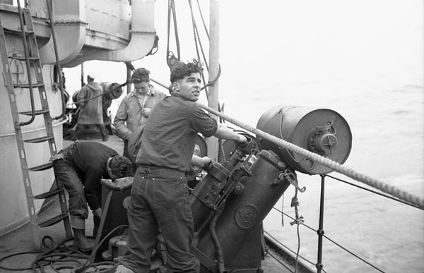 WAMBR_DCT_Saguenay_pic.jpg