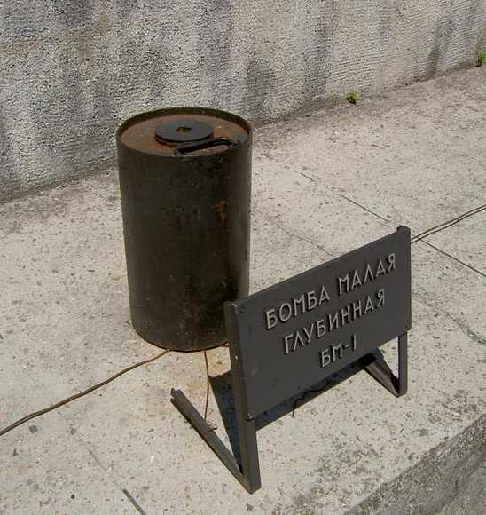 WAMRussian_ASW_BM-1_pic.jpg