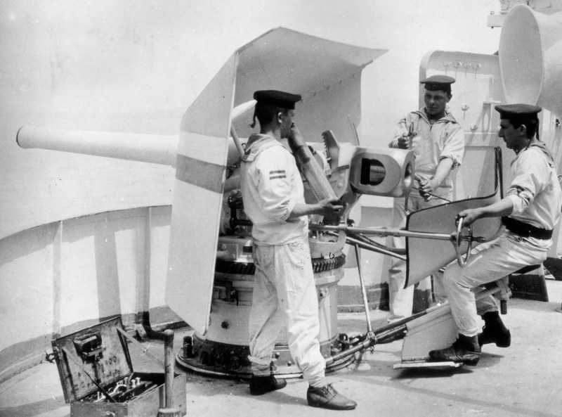 WNGER_88mm-35_skc00_Vineta_pic.jpg