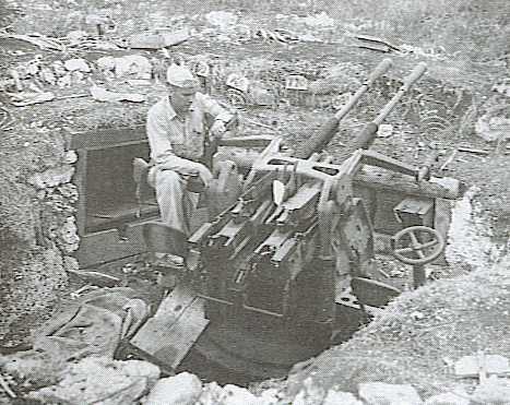 WNJAP_25mm-60_mg_twin_pic.jpg