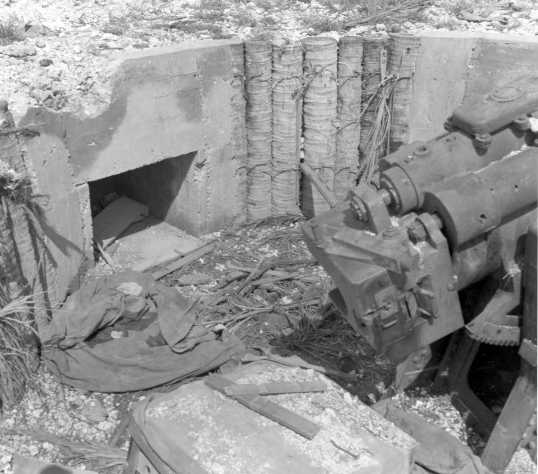 WNJAP_47-45_10ns_breech_pic.jpg