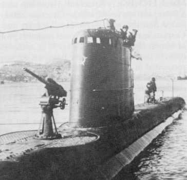 WNRussian_45-45_M172_pic.jpg