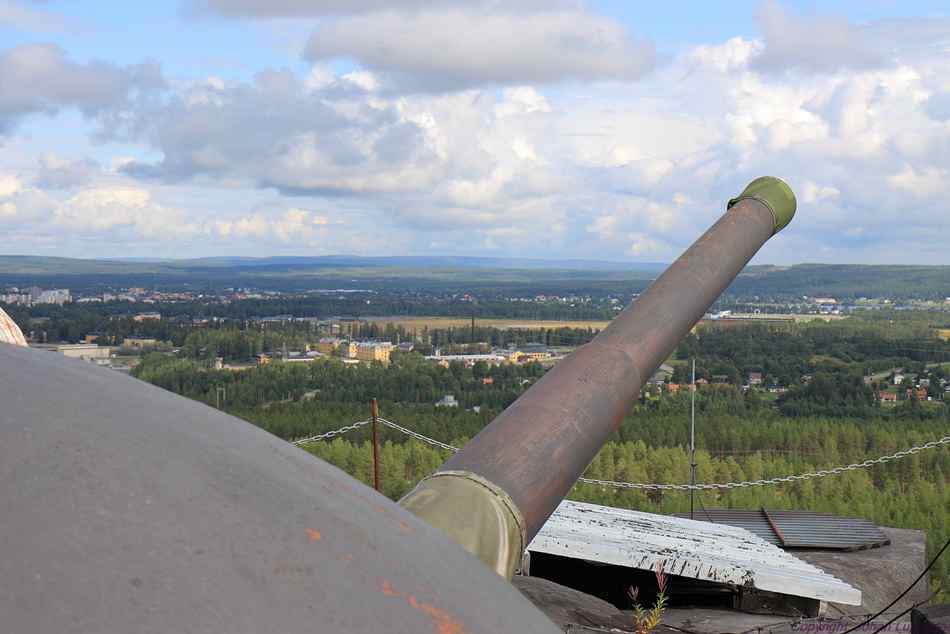 WNSweden_47-50_m1924_Rodbergs_pic.jpg